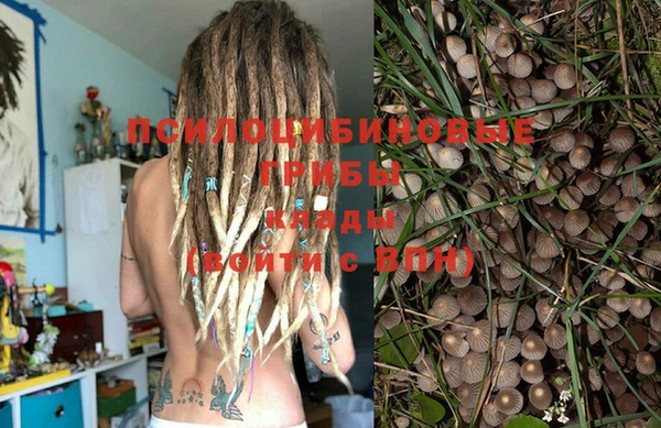 не бодяженный Арсеньев