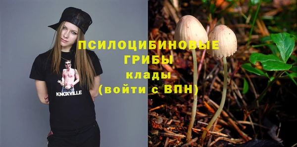 spice Армянск