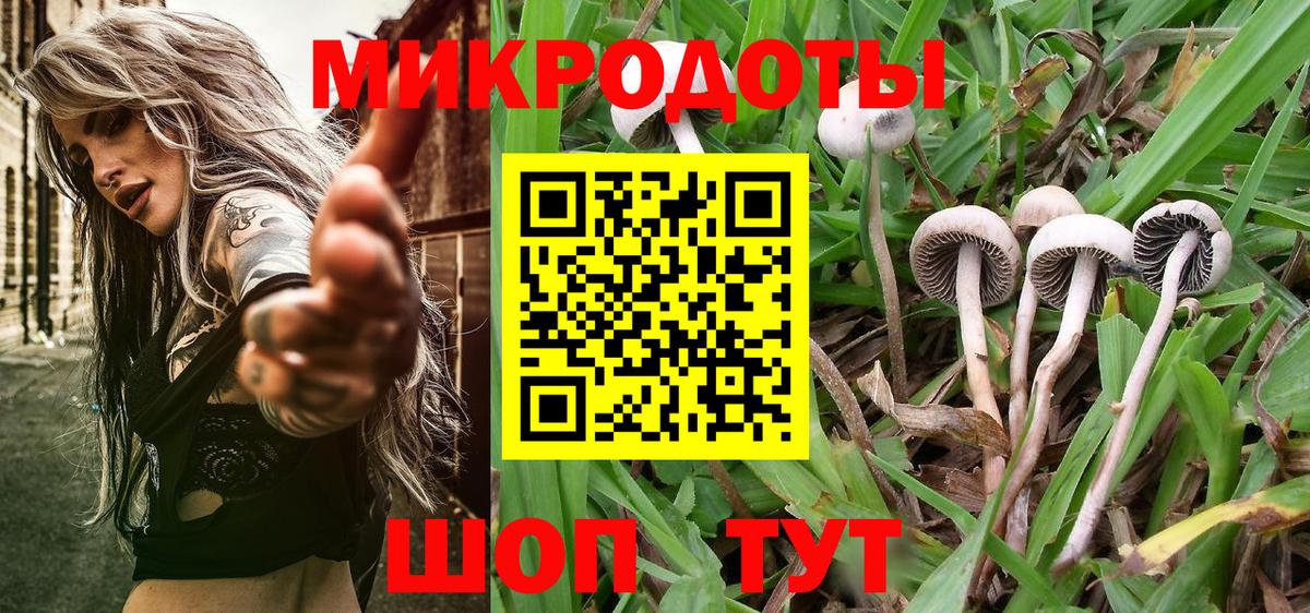 Галлюциногенные грибы MAGIC MUSHROOMS  Вход с VPN  купить   Галлюциногенные грибы мухоморы  Гуково 